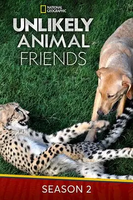 萌宠集结!《不可思议的好朋友第二季》:温馨治愈的奇幻冒险再度来袭!